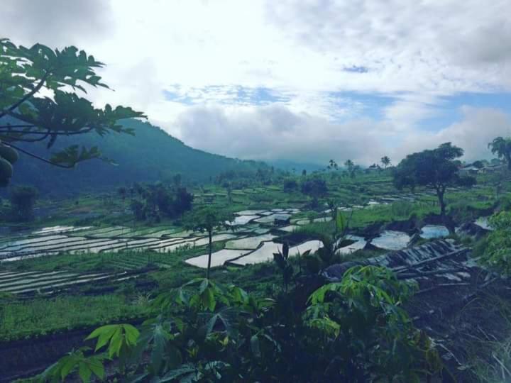 Wisma Kelimutu Энде Экстерьер фото
